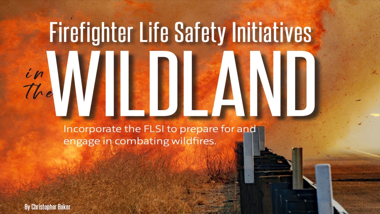 FFLSI in the Wildland